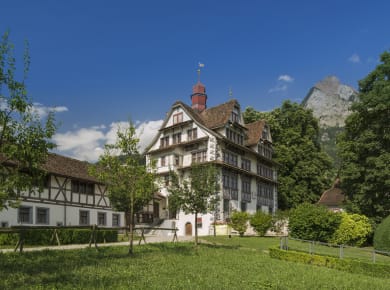 Schwyz, Ital Reding-Hofstatt