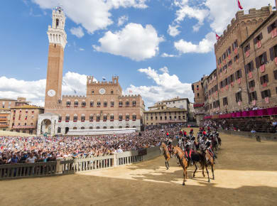 Siena, Palio