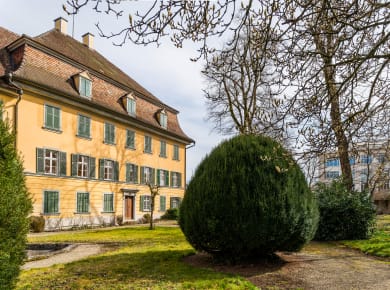 Singen, Archäologisches Hegau-Museum
