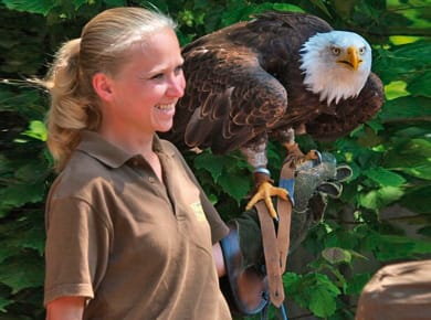 Vogelpark Steinen