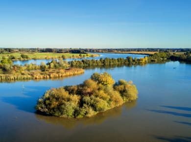 Straubing-Bogen