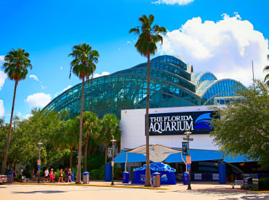 Tampa, FL, Florida Aquarium