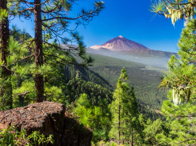 Teneriffa, Orotavatal, Blick auf den Teide Vulkan