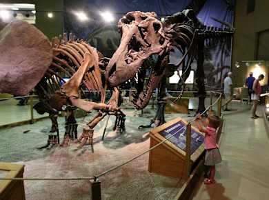 Thermopolis, WY, Wyoming Dinousaur Center