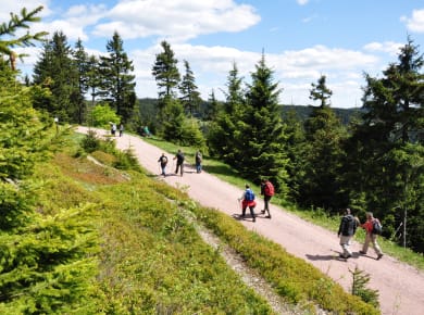 Thüringer Wald