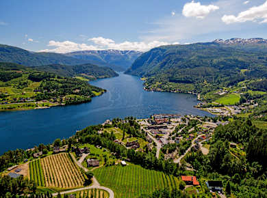 Ulvik