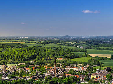 Vaals