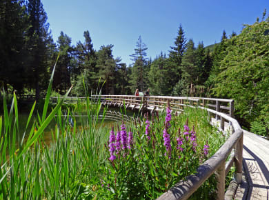 Vason, Botanischer Alpengarten Viotte