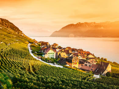 Vevey, Train des Vignes