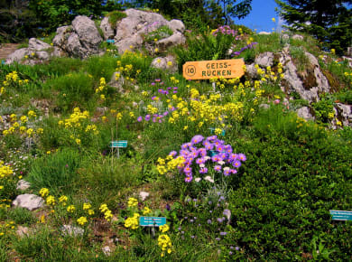 Villach, Villacher Alpengarten