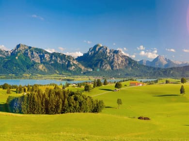 Vitales Land