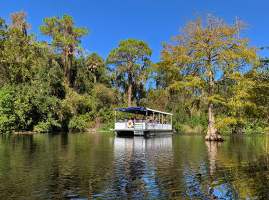 Weeki Wachee, FL, Weeki Wachee Springs