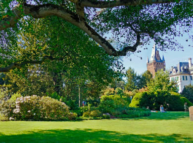 Schlosspark