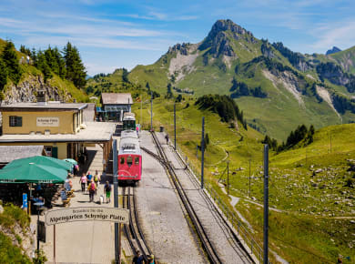Interlaken, Schynige Platte
