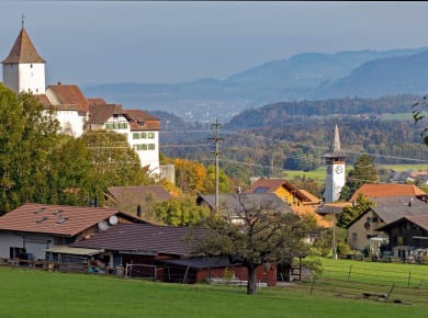Martinskirche