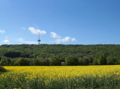 Gästeführung Fernsehturm Porta Westfalica