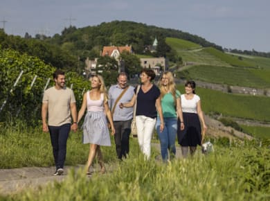 Steinwein-Wanderung
 FWL, Würzburg, Holger Leue