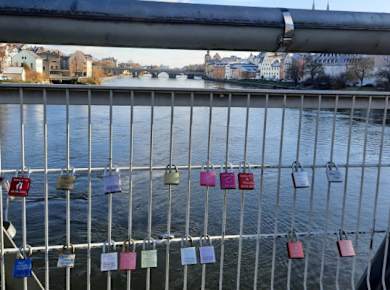 Bild vom Eisernen Steg mit Vorhängeschlössern mit Blick auf Donau