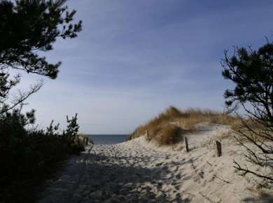 Foto- & Fahrradtour in Zingst: Nationalpark