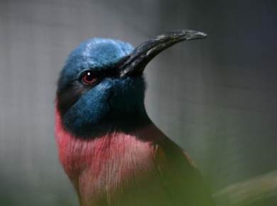 Fotokurs in Köln: Kölner Zoo