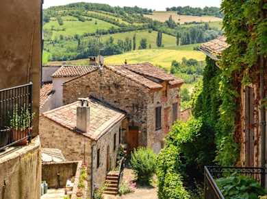 Trip to Albi and Cordes Sur Ciel from Toulouse