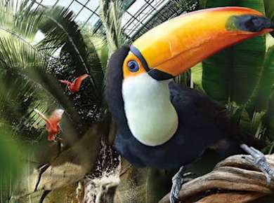 Eintrittskarten für den Pariser Zoo