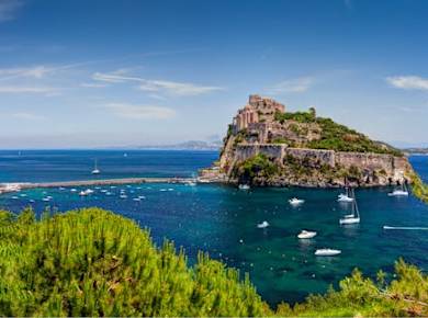 Tagesausflug zur Insel Ischia mit Mittagessen