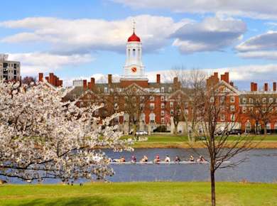 Harvard Square Food Tour
