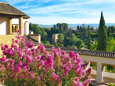 Tour am Morgen durch die Alhambra mit Tickets ohne Anstehen und optionalem Transfer