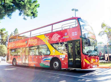 City Sightseeing hop-on hop-off bus tour of Malaga with Interactive Museum of Music (MIMMA)