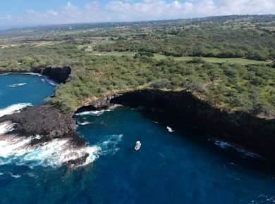 Hawaii-Walbeobachtung