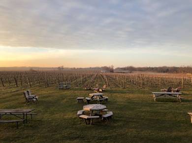 Tagesausflug mit Weinprobe ab NYC