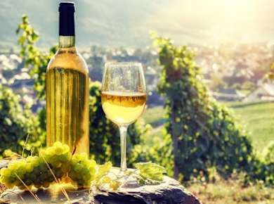 Ganztägige gemeinsame Weintour durch das Elsass ab Colmar