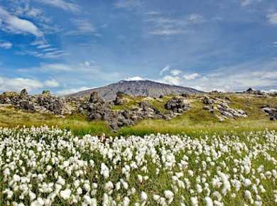 Entdecken Sie die Wunder des Snæfellsnes-Nationalparks