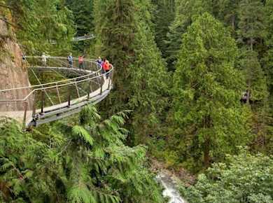 Grouse Mountain und Capilano Suspension Bridge Park Tour