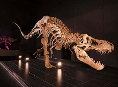 Eintrittskarten für den Themenpark Dinópolis in Teruel