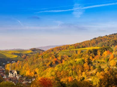 Segway-Tour zur Tromm