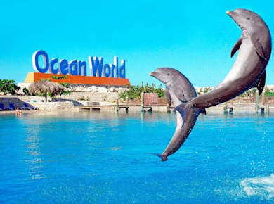 Ocean World Puerto Plata Tour