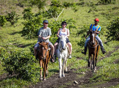 Horse Riding