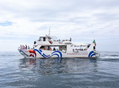 Ophelia Catamaran for families – with transport