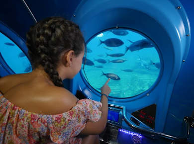 Mogan Yellow Submarine Tour