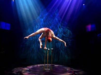 Cirque du Soleil JOYÀ Riviera Maya Eintrittsticket