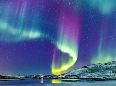 Aurora husky visit