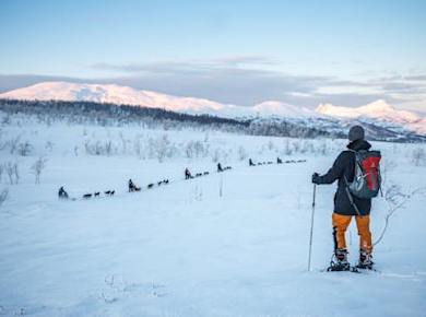 Guided Husky snowshoe hike