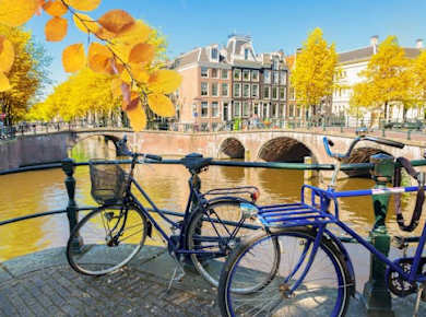 Tagesausflug von Brüssel nach Amsterdam