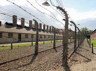Auschwitz-Birkenau: Eintritt ohne Anstehen und offizielle Führung