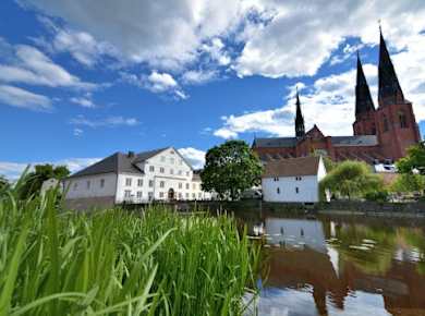 Viking history 3-hour public tour