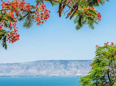 Galiläa, Nazareth-Tour ab Jerusalem