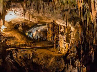 Tagesausflug in kleiner Gruppe von Ljubljana zum Bleder See, zur Höhle von Postojna und zur Burg Predjama