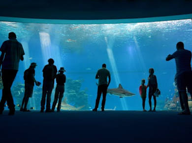 Eintrittskarten für das Unterwasserobservatorium